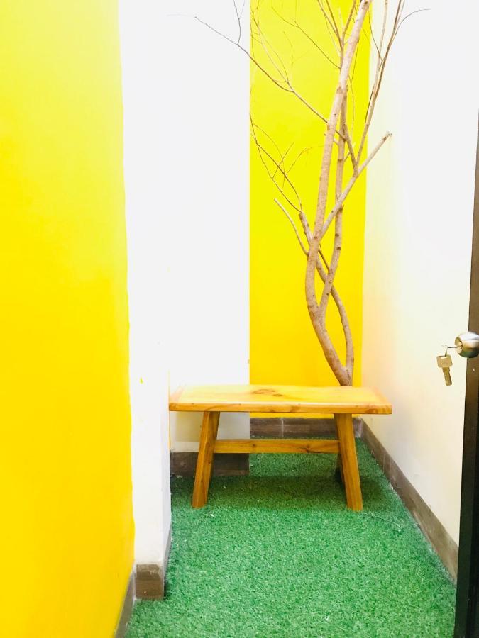 Homestay Xam House *
