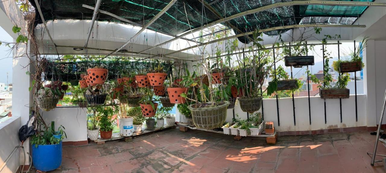 Homestay Xam House Quy Nhon