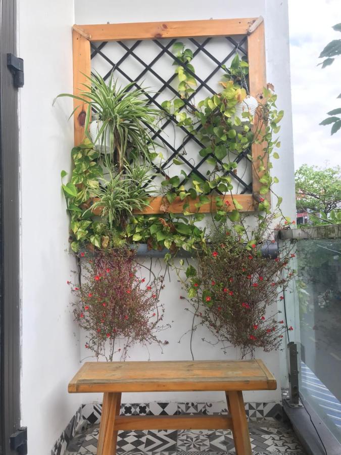 Homestay Xam House